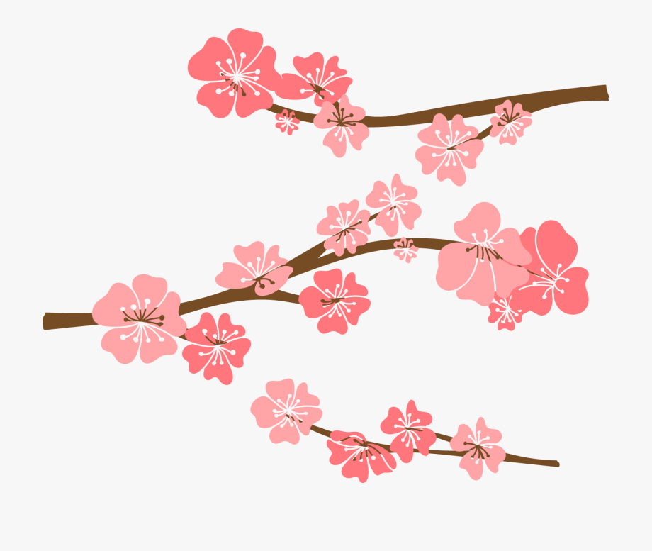 920x777 Cherry Blossom Drawing