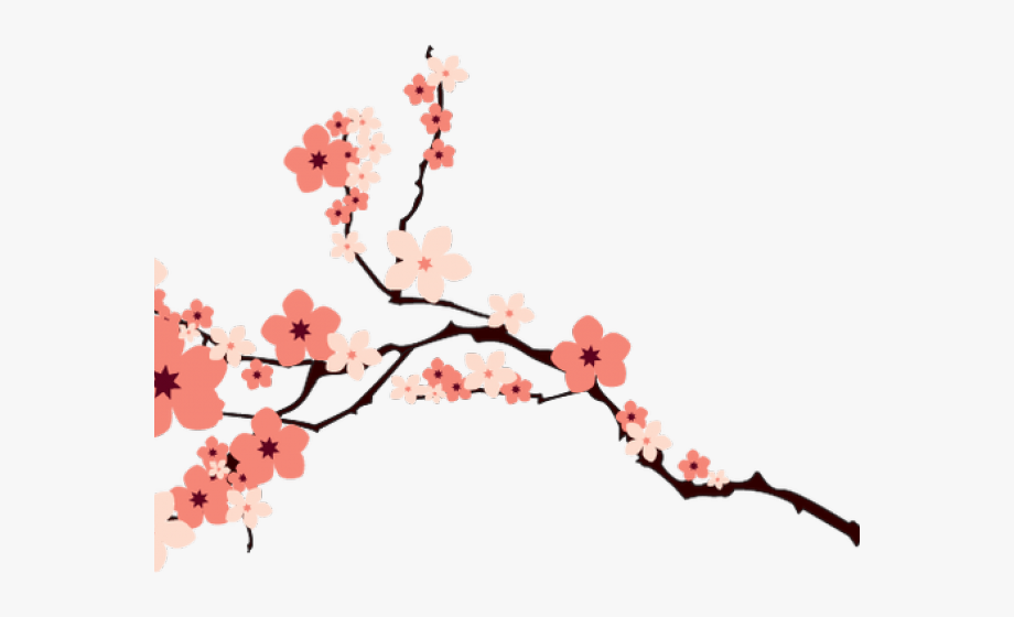 920x560 Cherry Blossom Clipart