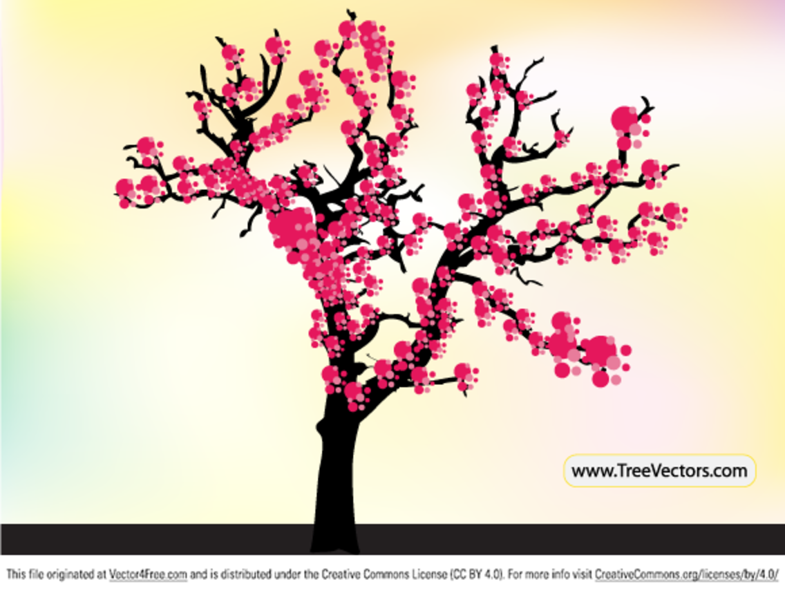 1136x858 Cherry Blossom Tree Vector