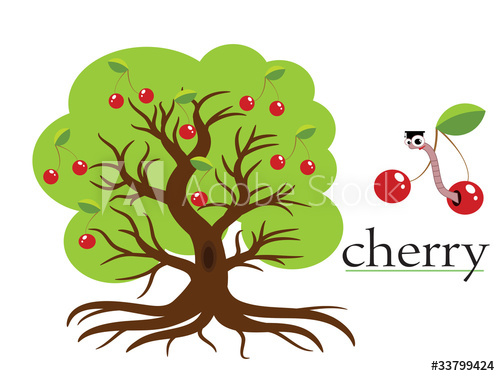500x376 Cherry Tree, Vector