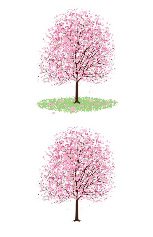 495x767 Pink Cherry Blossom Tree Vector Dragonartz Designs