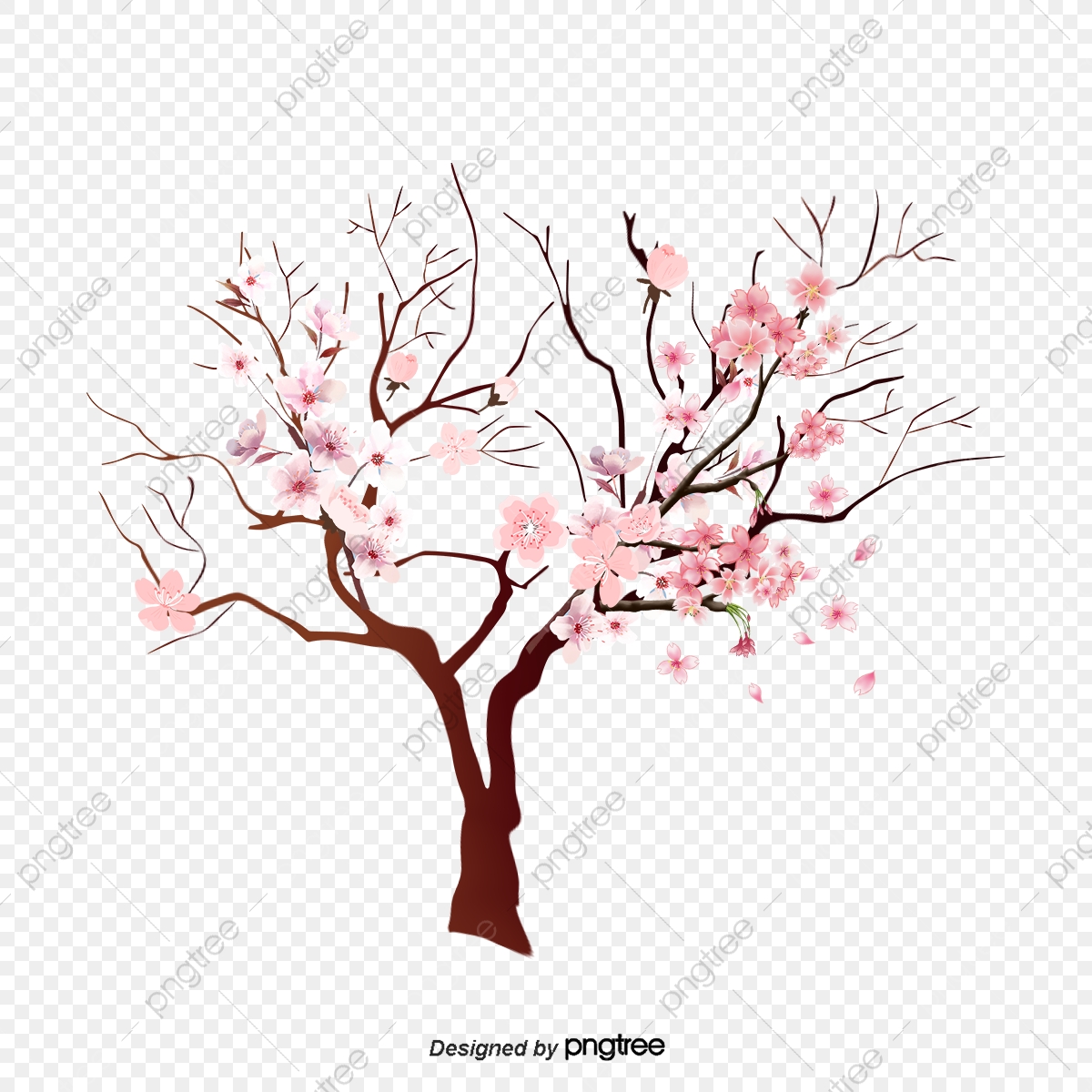 1200x1200 Pink Cherry Tree, Cherry Vector, Tree Vector, Pink Png And Vector