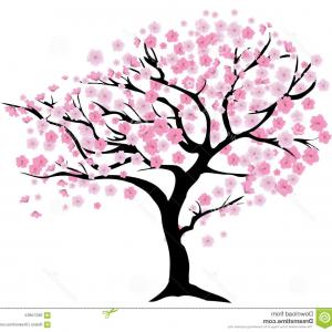 Cherry Tree Vector at Vectorified.com | Collection of Cherry Tree ...