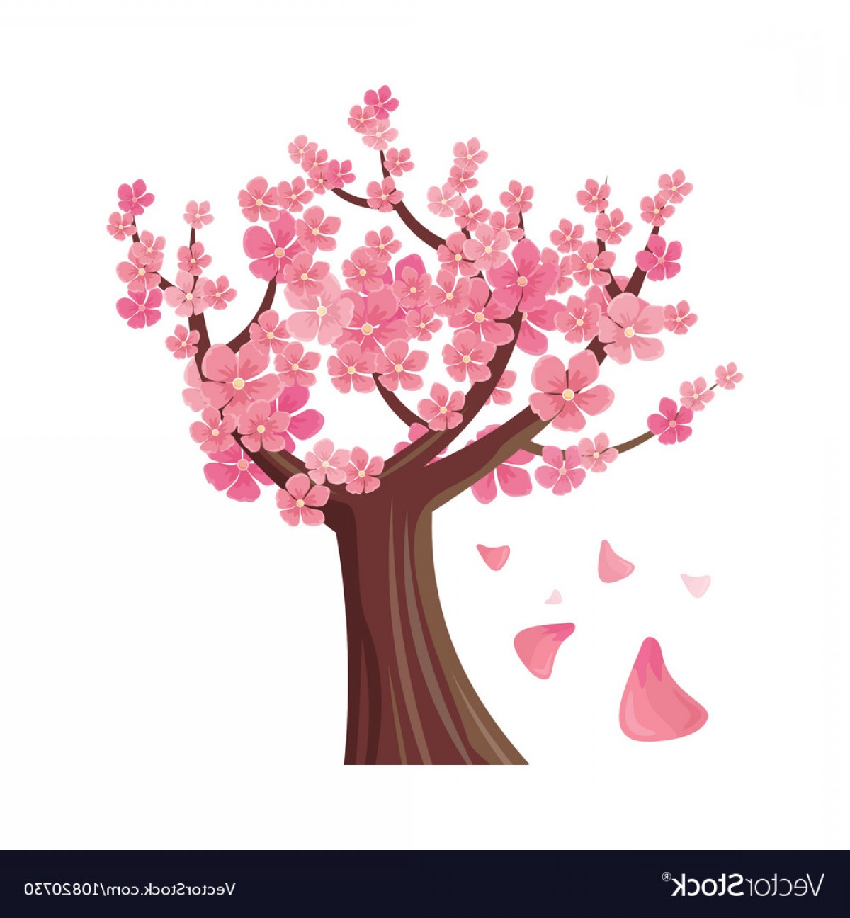 1200x1296 Sakura Tree Isolated Cherry Blossom Vector Cqrecords