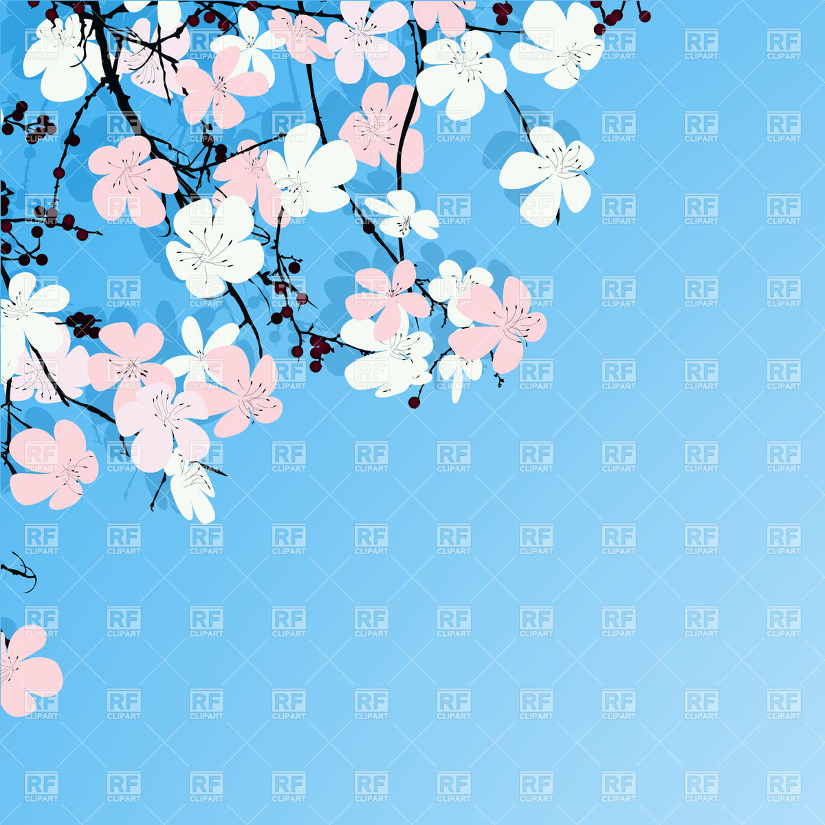 1200x1200 Spring Greeting Card With Cherry Blossom Tree Vector Image