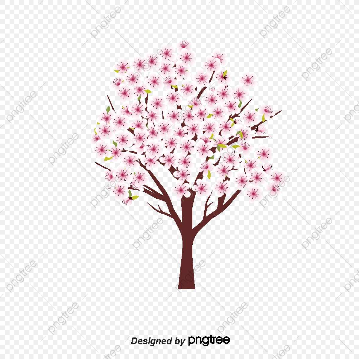 1200x1200 Vector Pink Whole Tree Cherry Tree Romance In Japan, Tree Vector