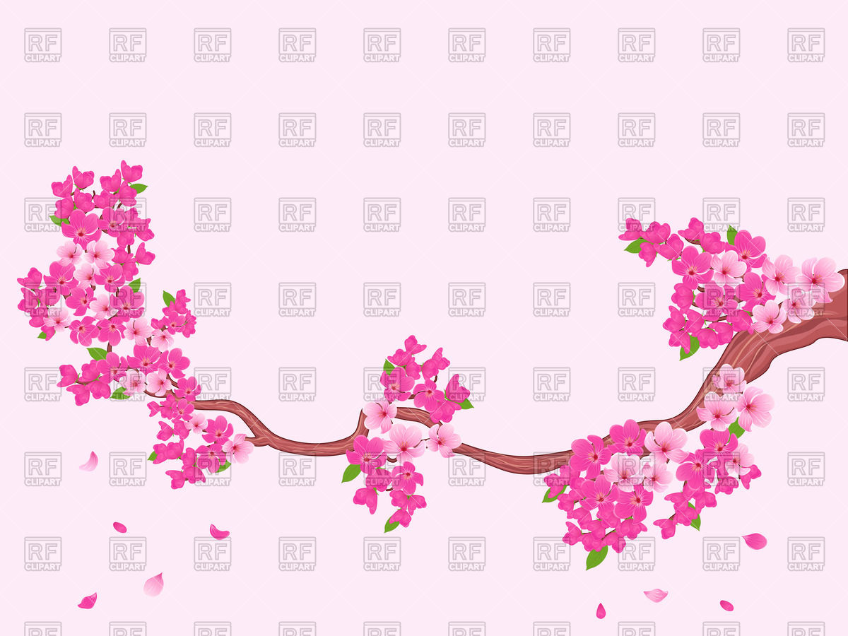1200x900 Blooming Sakura Branch