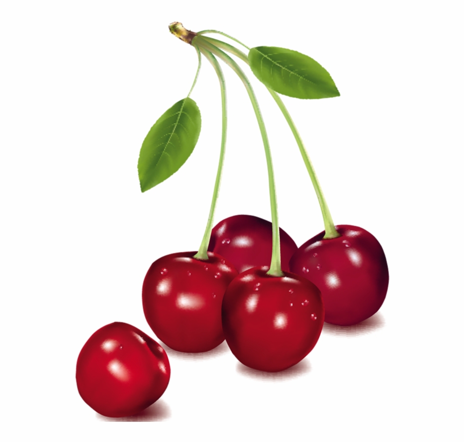 Berry Vector Cherry Fruit 920x877 Berry Vector Cherry Fruit
