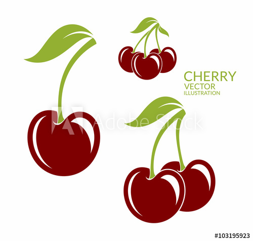 Cherry Isolated Berries On White Background 500x476 Cherry Isolated Berries On White Background