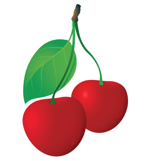 Free Download Of Cherry Vector Graphics And Illustrations 620x620 Free Download Of Cherry Vector Graphics And Illustrations