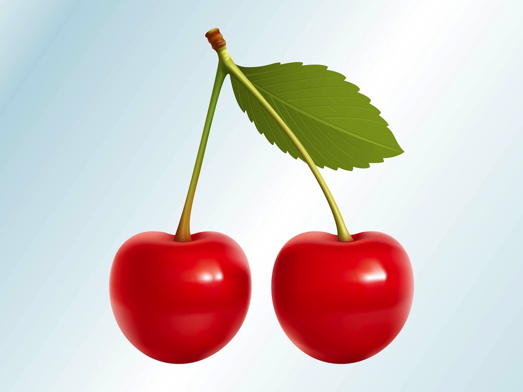 Realistic Cherries Vector Art Graphics 1024x768 Realistic Cherries Vector Art Graphics