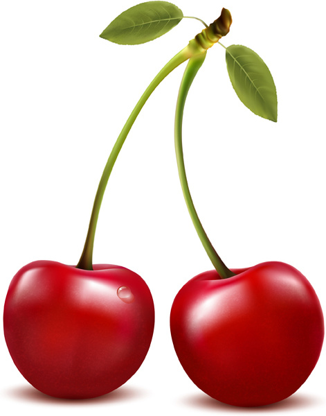 Realistic Red Cherry Design Vector Free Vector In Adobe 471x600 Realistic Red Cherry Design Vector Free Vector In Adobe