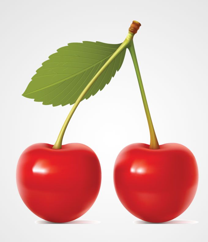 Red Cherry Vector Graphics 680x790 Red Cherry Vector Graphics