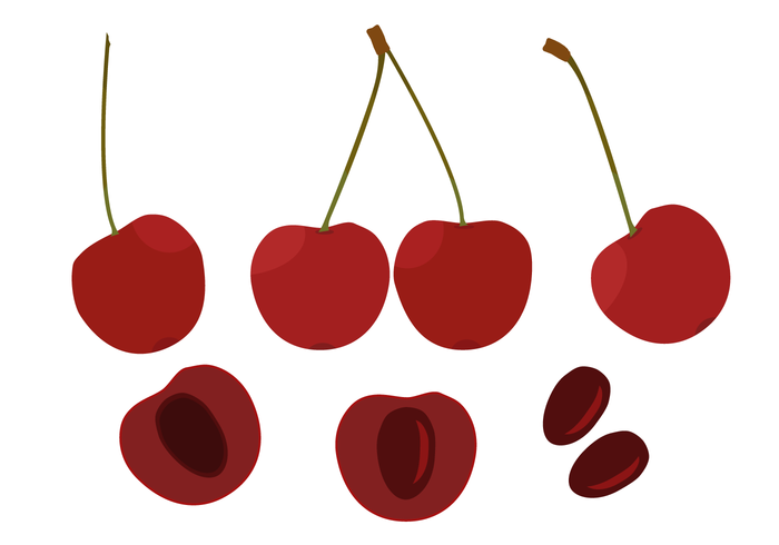 Cherry Free Vector Art 700x490 Cherry Free Vector Art