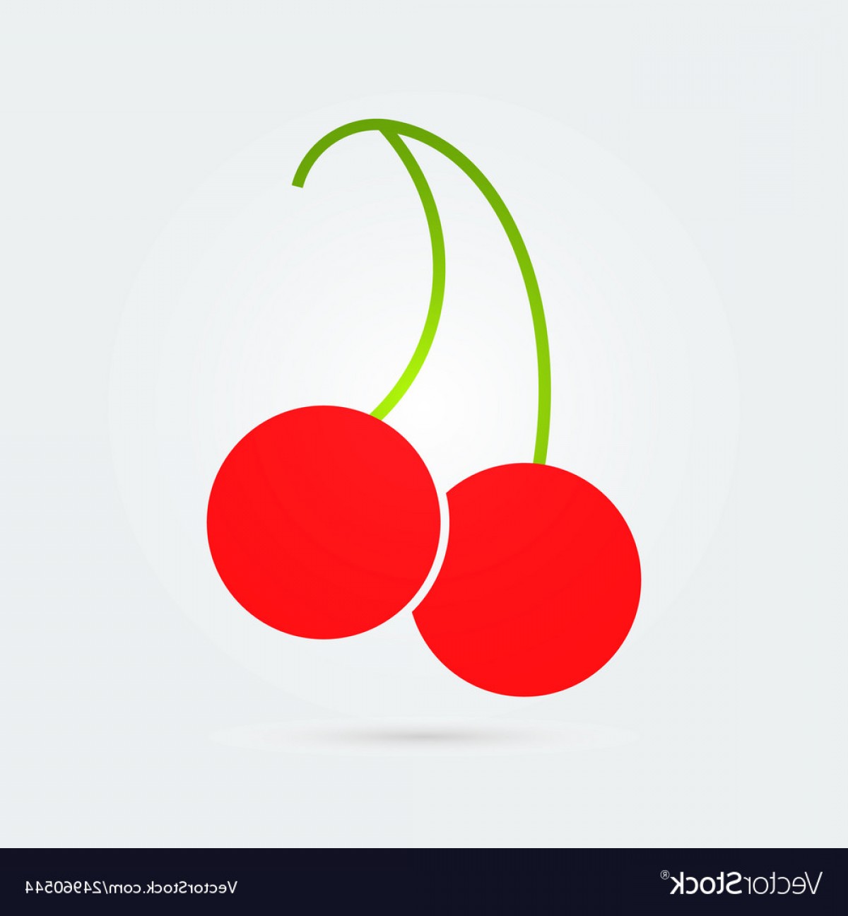 Cherry Vector Sarahgardan 1200x1296 Cherry Vector Sarahgardan
