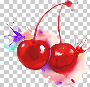 Cherry Vector Free