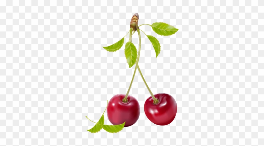 840x464 Cherry Realistic Vector Pack Free Download Transparent