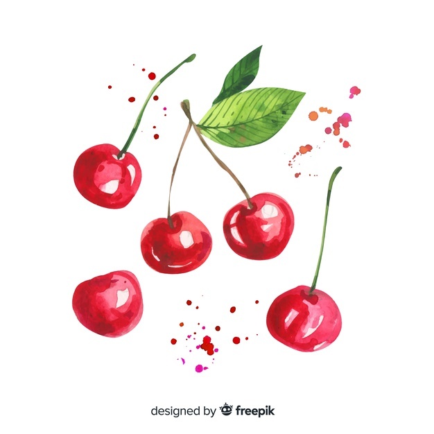 626x626 Cherry Vectors, Photos And Free Download