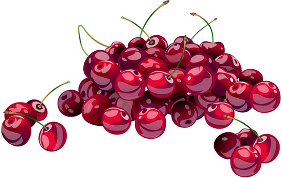 580x368 Cherry Vector Free Vector Download
