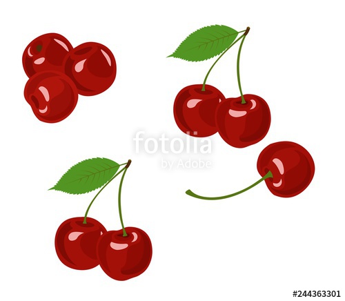500x436 Cherry Vector Illustration Cherry Collection On White Background
