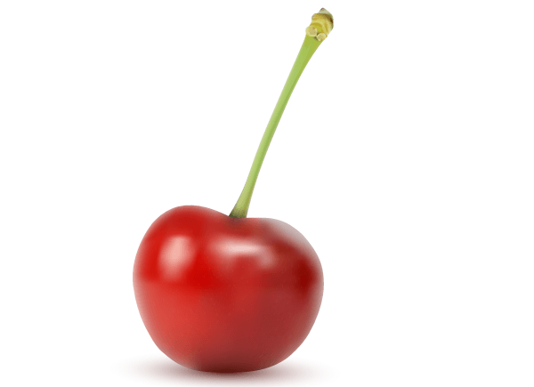 600x435 Free Red Cherry Vector Illustration