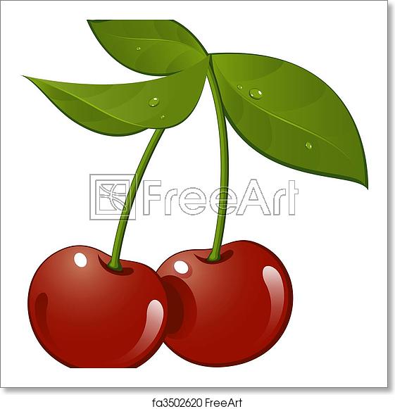 561x581 Free Art Print Of Cherry Cherry Vector Illustration, Over White