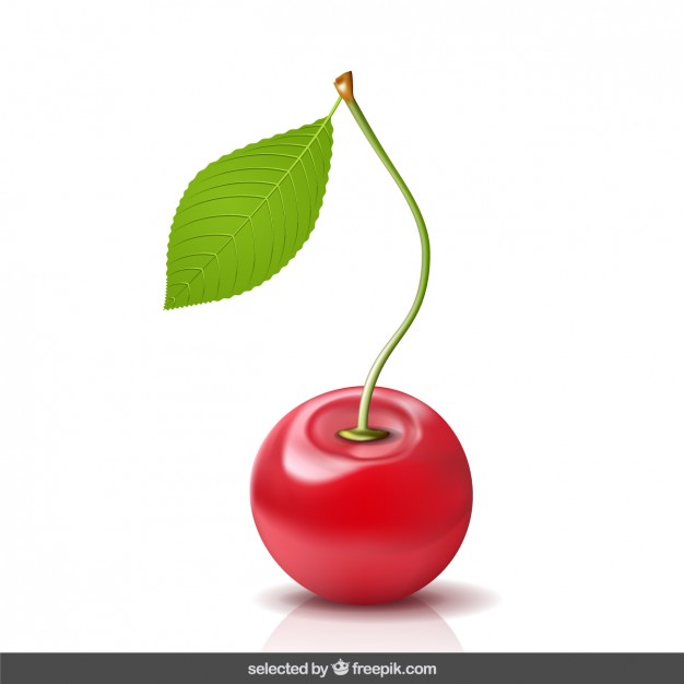 626x626 Realistic Cherry Vector Free Download