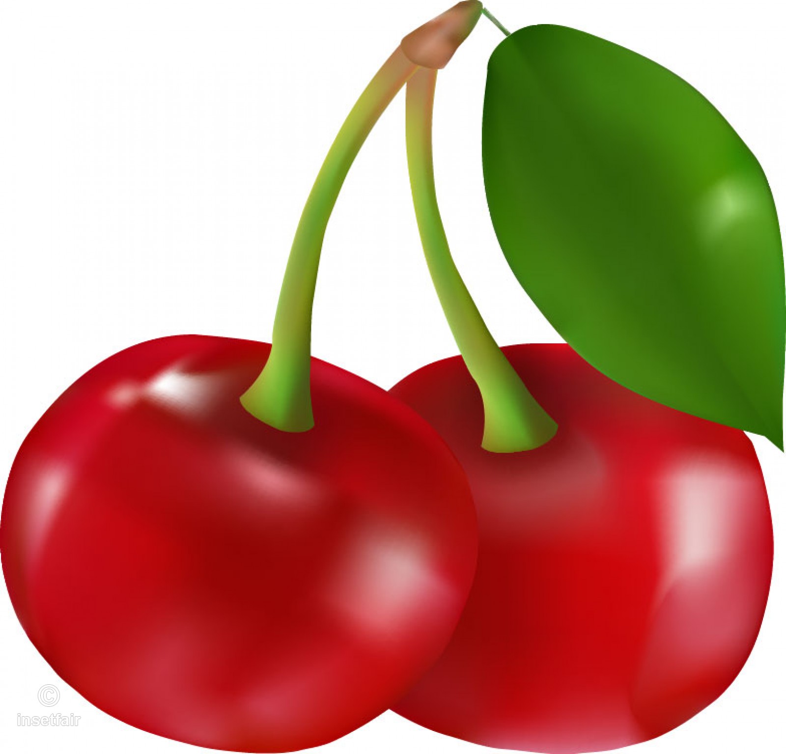 Cherry Vector Free at Vectorified.com | Collection of Cherry Vector ...