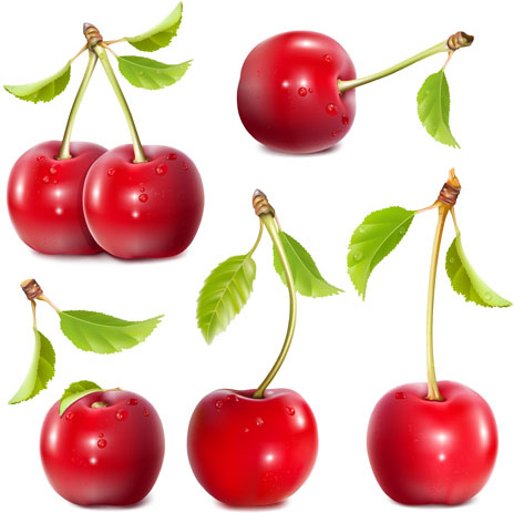 464x463 Shuilingling Cherry Vector Free Vector In Encapsulated Postscript