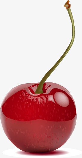 276x531 Vector Cherry Fruit, Cherry Vector, Fruit Vector, Vector Png