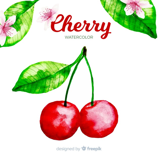 626x626 Watercolor Cherry Vector Free Download