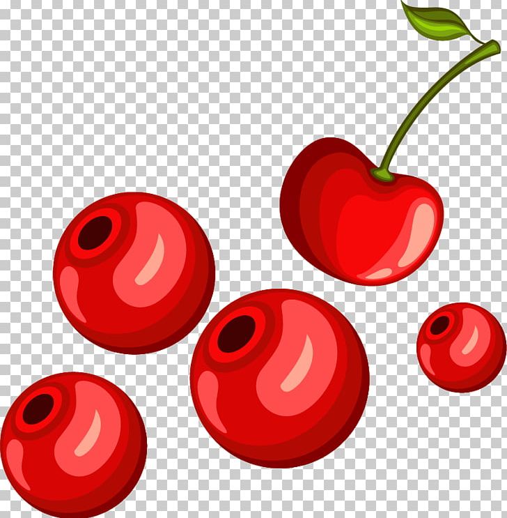 Cherry Euclidean Png, Clipart, Cherry, Cherry Blossom, Cherry 728x743 Cherry Euclidean Png, Clipart, Cherry, Cherry Blossom, Cherry
