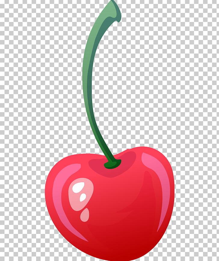 Cherry Fruit Drawing Png, Clipart, Auglis, Beautiful, Beautiful 728x868 Cherry Fruit Drawing Png, Clipart, Auglis, Beautiful, Beautiful
