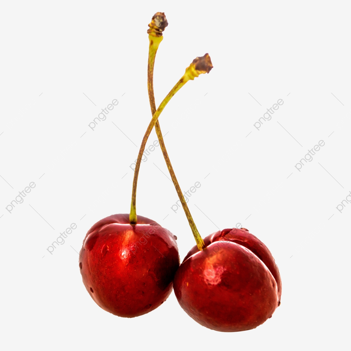 Cherry Vector, Png, Food, Delicious Png Transparent Clipart Image 1200x1200 Cherry Vector, Png, Food, Delicious Png Transparent Clipart Image