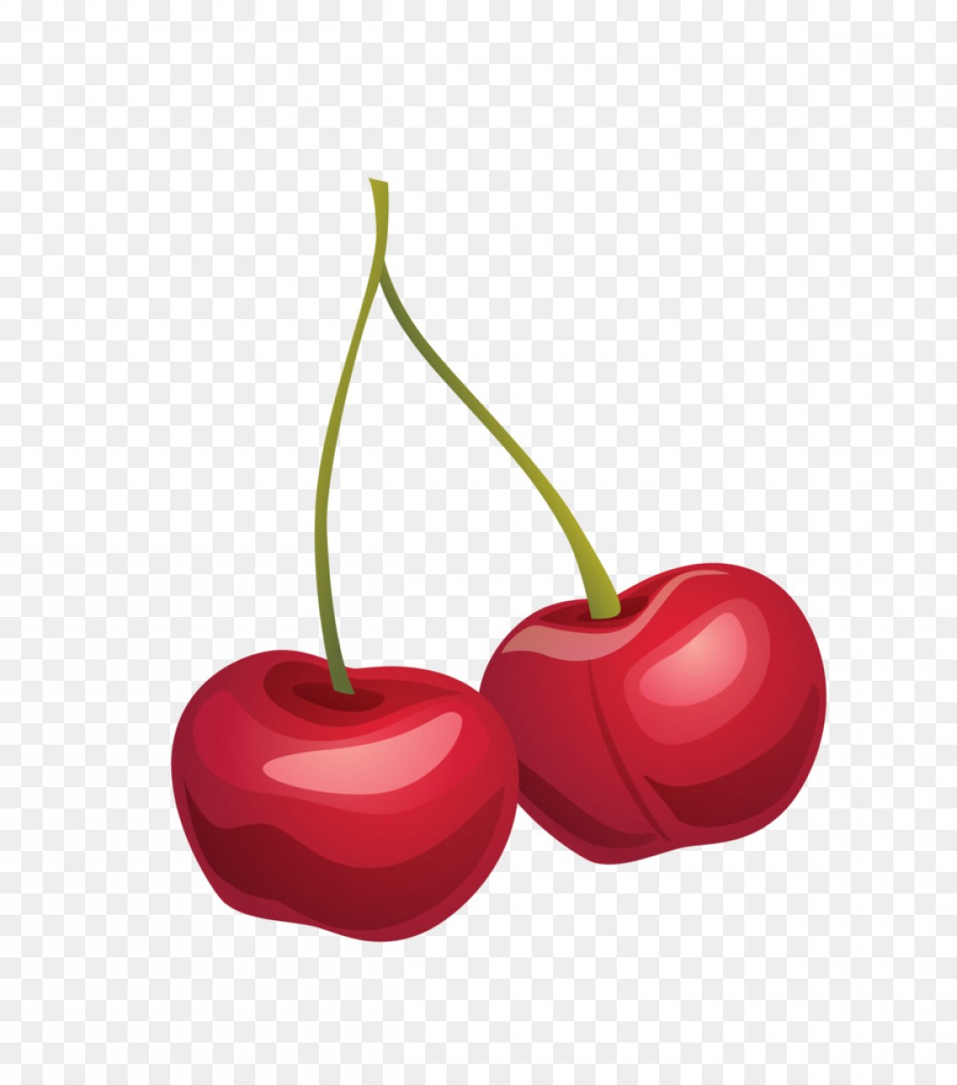 Cherry Vector Sarahgardan 1080x1224 Cherry Vector Sarahgardan