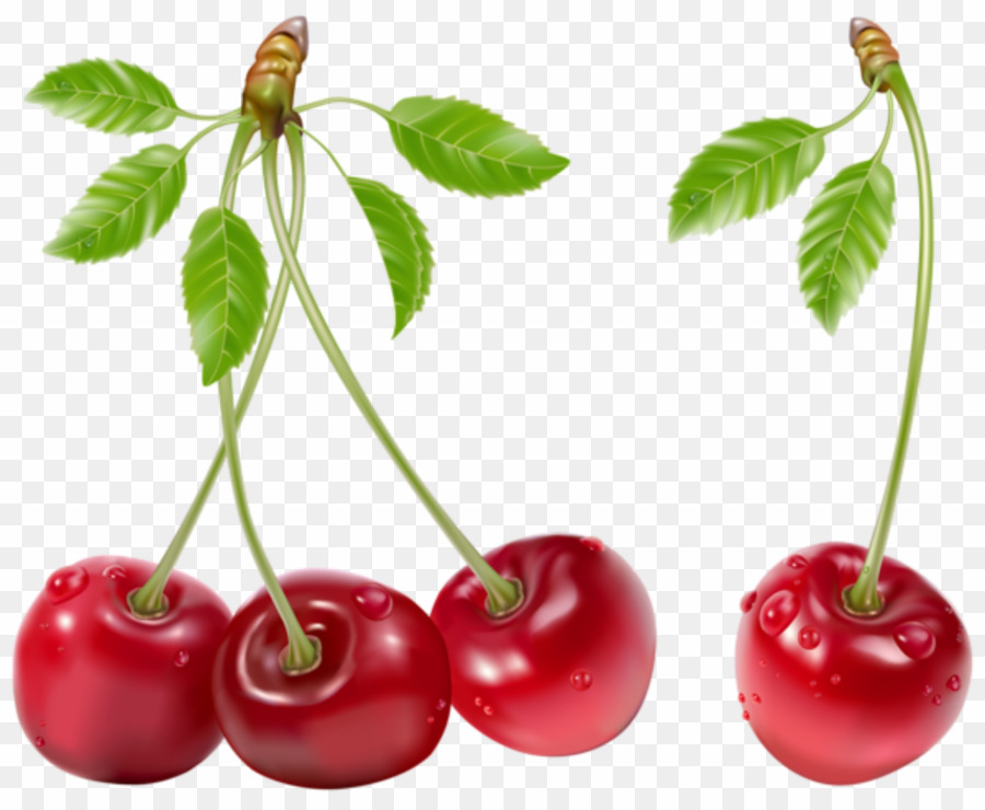 Cherry Vector Png Cherries Berries Clipart Download 900x740 Cherry Vector Png Cherries Berries Clipart Download