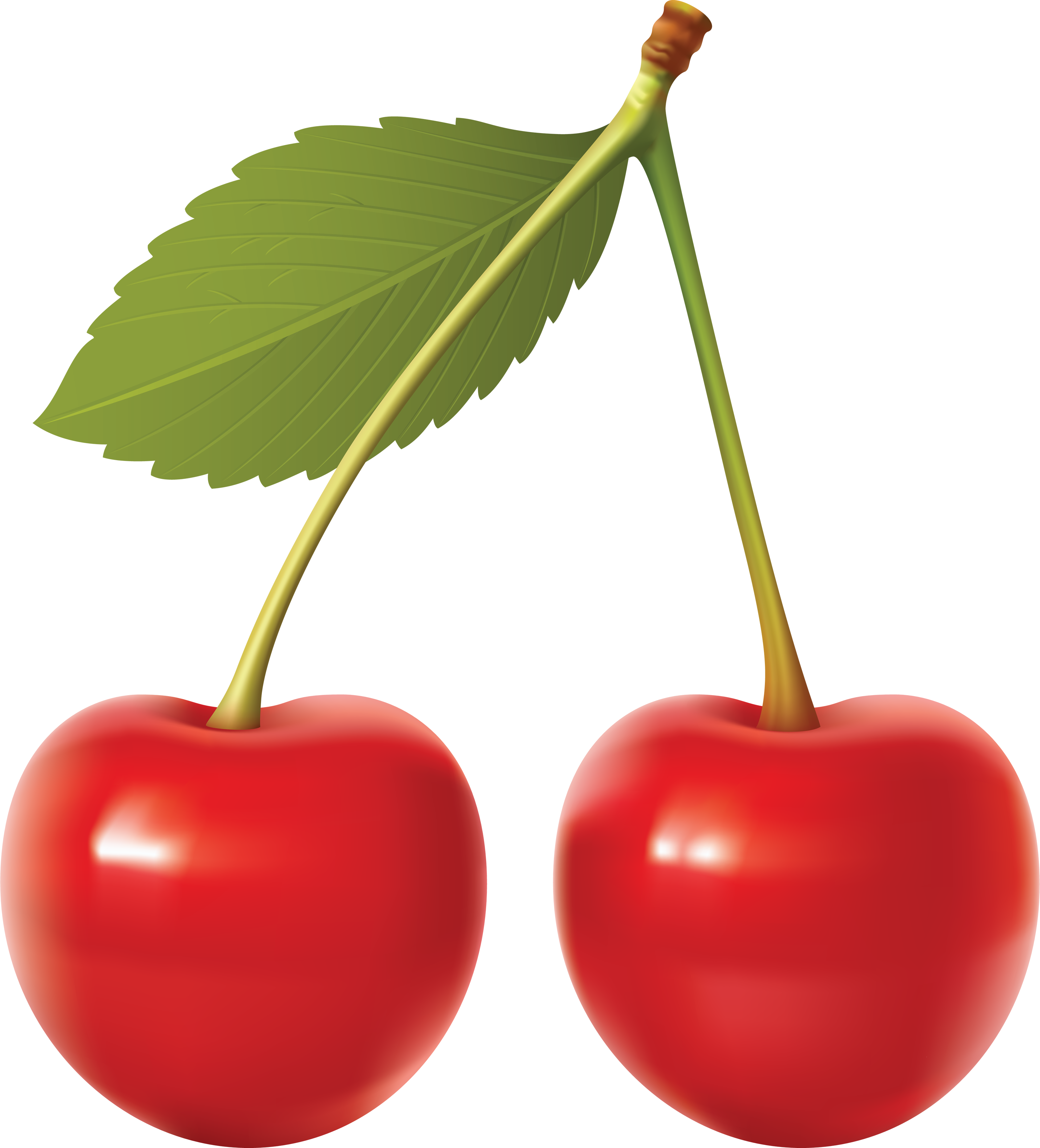 Cherry Vector Png 3104x3425 Cherry Vector Png