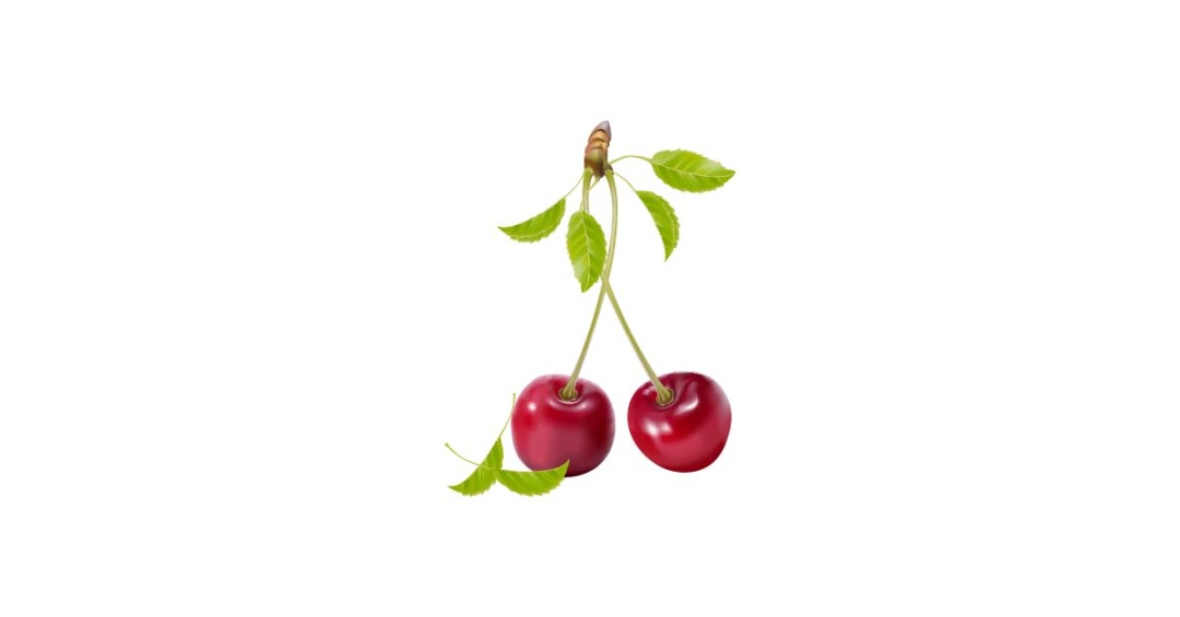 Realistic Cherry Vector And Transparent Png The Graphic Cave 1080x565 Realistic Cherry Vector And Transparent Png The Graphic Cave