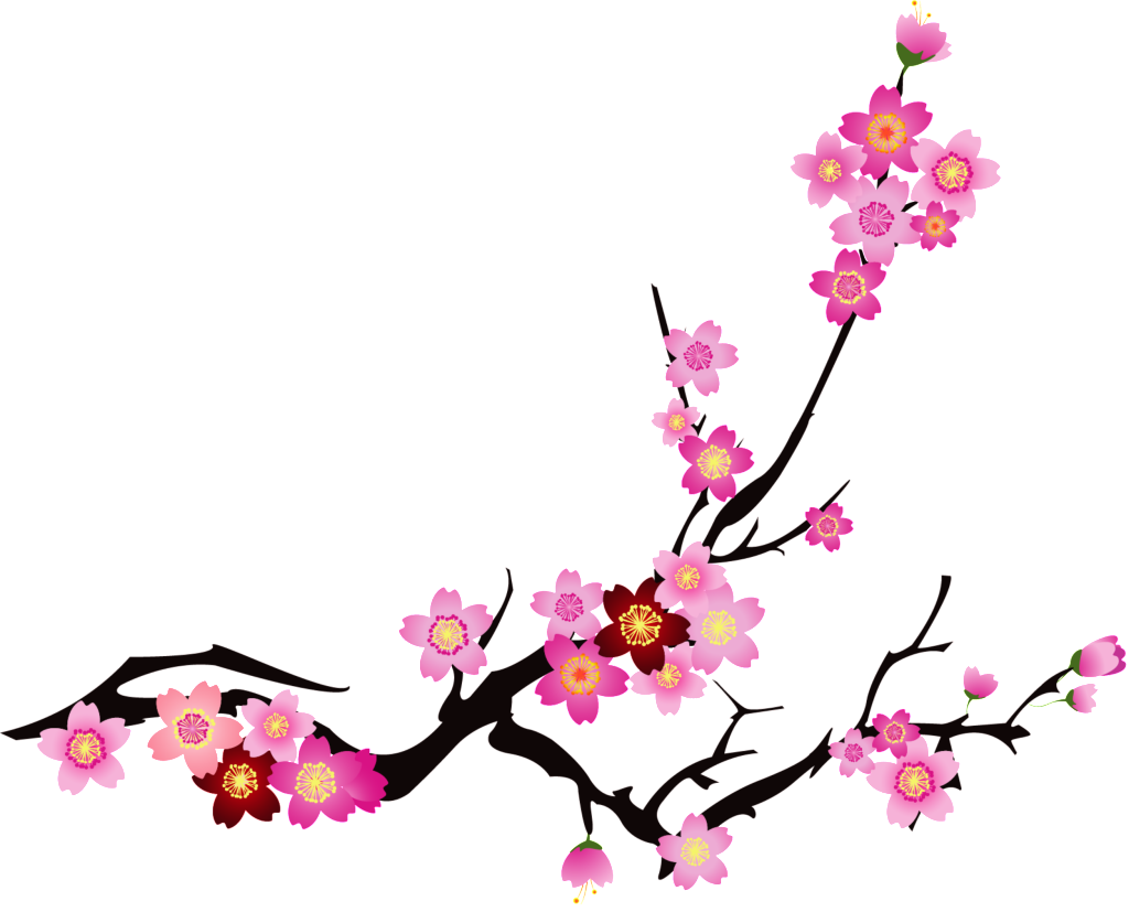 Cherry Blossom Vector Png 1024x827 Cherry Blossom Vector Png