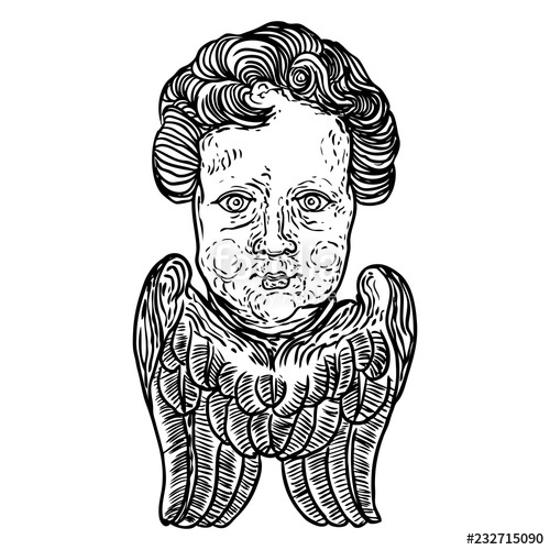 500x500 Cherub With Wings Winged Baby Angel Isolated On White Background