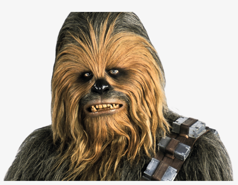 820x636 Picture Royalty Free Stock Chewbacca Vector Wookie