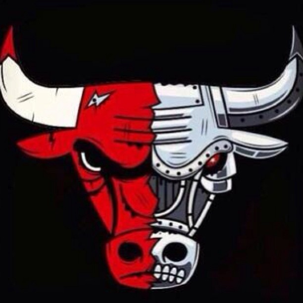 Chicago Bulls Logo Vector