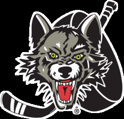 250x240 Chicago Wolves Logos