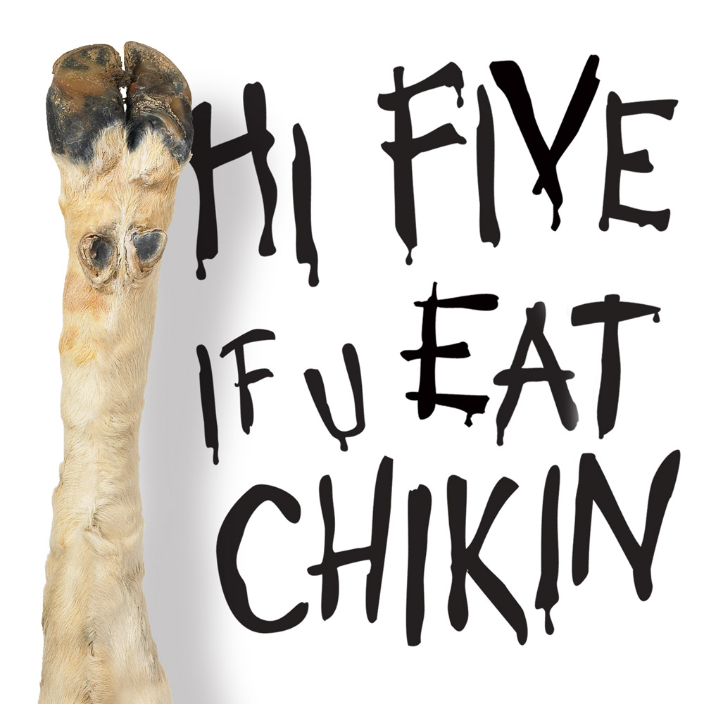 Johnathan Wynn 1000x1000 Johnathan Wynn