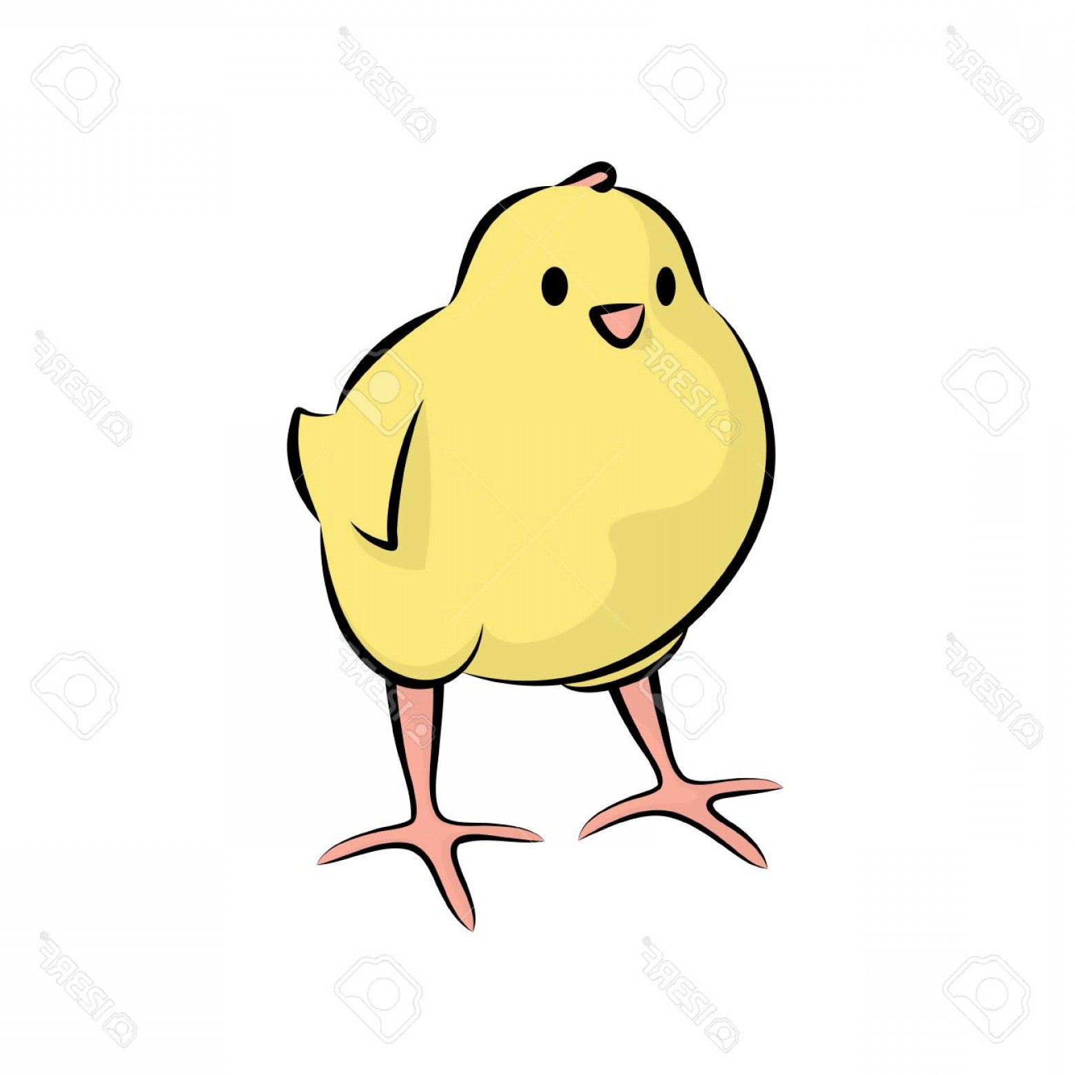 1560x1560 Cute Baby Chicken Vector Cqrecords