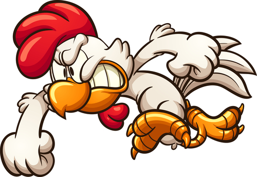 500x344 Angry Chicken Cartoon Vector Free Download