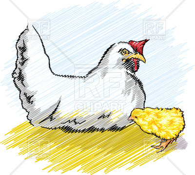 400x358 Cartoon Chicken And Chick Vector Image Of Plants And Animals