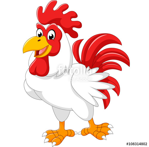 500x495 Cartoon Chicken Rooster Posing Stock Image And Royalty Free