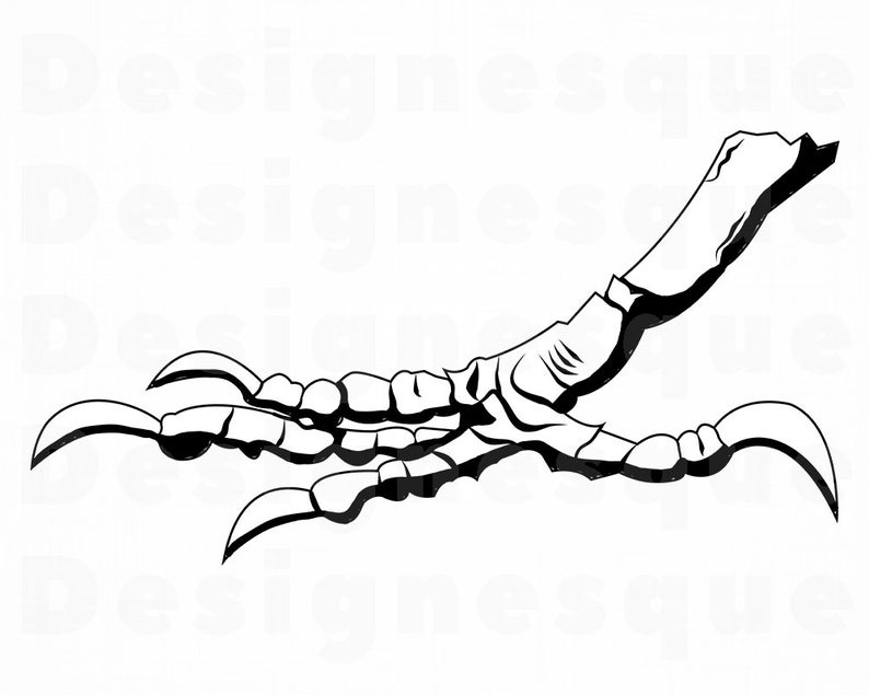 Chicken Feet Vector at Vectorified.com | Collection of Chicken Feet