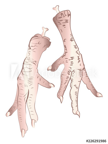 375x500 Chicken Feet Rose Gold